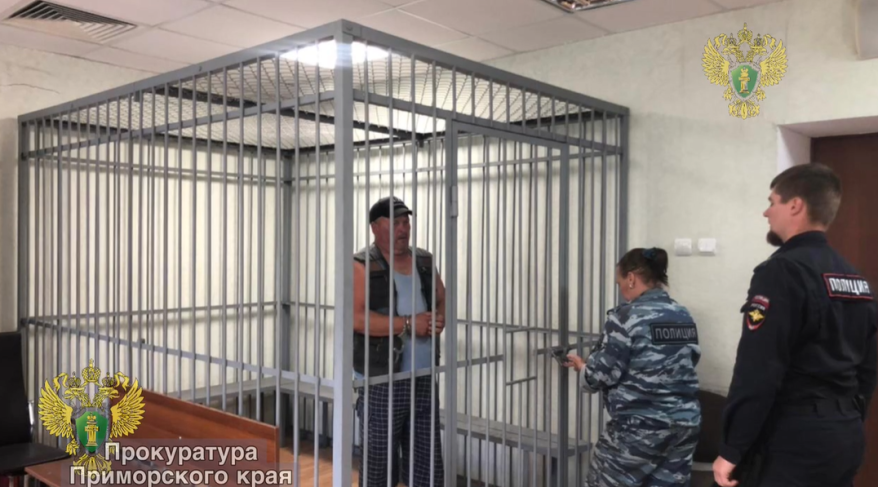 В Приморье заключен под стражу продавец с авторынка, который стрелял в подростка