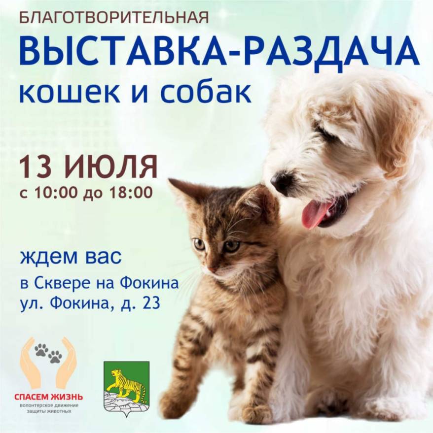 В субботу, 13 июля, во Владивостоке состоится выставка-раздача животных В субботу, 13 июля, во Владивостоке состоится выставка-раздача животных