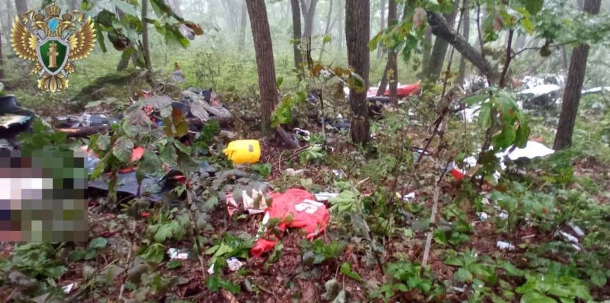 Транспортная прокуратура опубликовала фото с места падения самолета в Приморье