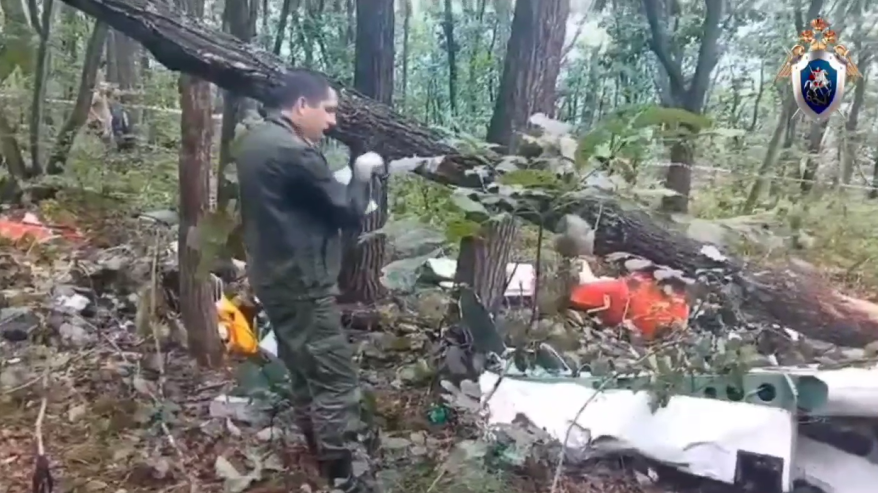 Видео с места крушения частного самолета в Приморье попало в Сеть