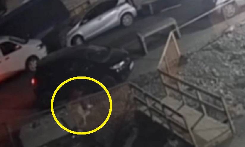 Девушка провалилась в канализационный колодец во дворе многоэтажек во Владивостоке Девушка провалилась в канализационный колодец во дворе многоэтажек во Владивостоке