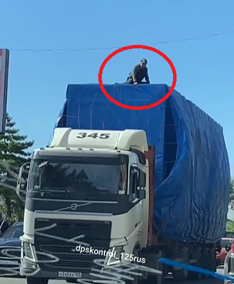 С ветерком и на халяву: ситуация на дороге во Владивостоке вызвала недоумение у горожан