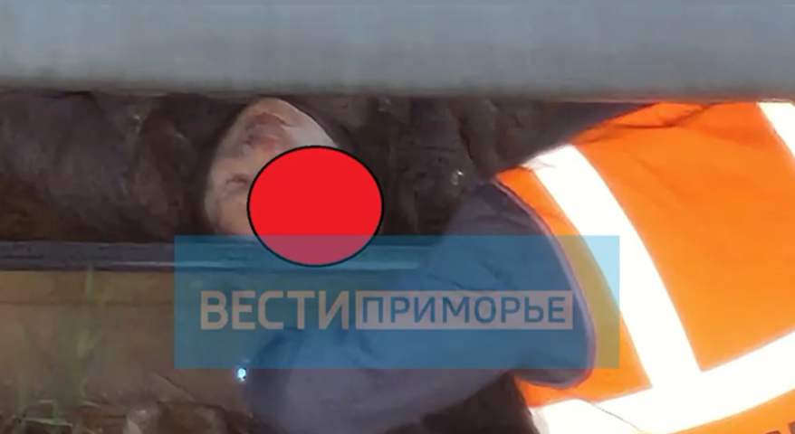 Женщина попала под электропоезд во Владивостоке