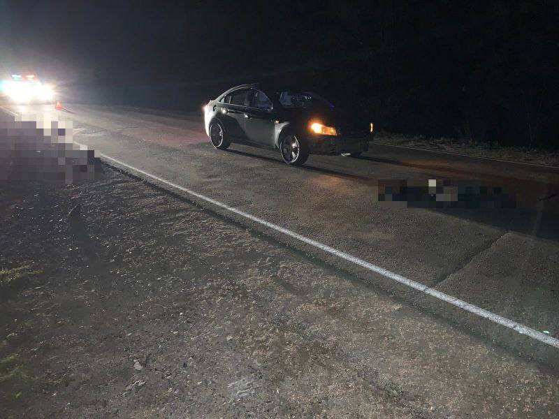 В Приморье водитель совершил наезд на двух пешеходов, один из них - скончался В Приморье водитель совершил наезд на двух пешеходов, один из них - скончался