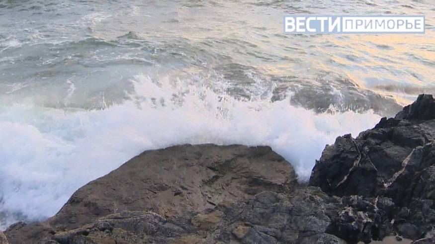 Необычного гостя у моря зафиксировали в Приморье Необычного гостя у моря зафиксировали в Приморье