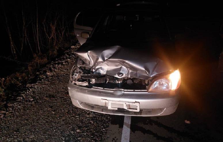 «Неожиданно для дамы за рулем»: подробности столкновения хищника с авто в Приморье «Неожиданно для дамы за рулем»: подробности столкновения хищника с авто в Приморье