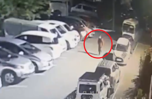 Камнем в лобовуху: жесткий инцидент в Уссурийске попал на видео