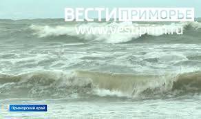 Высота цунами в Приморье может достигнуть 6-7 метров - предупреждает Примгидромет