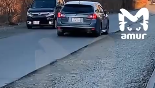Жители микрорайона во Владивостоке остались без автобусов из-за неотремонтированной дороги Жители микрорайона во Владивостоке остались без автобусов из-за неотремонтированной дороги