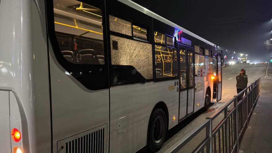 Банда подростков с дубинками совершила нападение на пассажирский автобус в Приморье