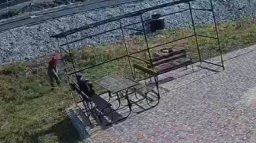 Малолетние вандалы во Владивостоке вырубили деревья ради забавы Малолетние вандалы во Владивостоке вырубили деревья ради забавы