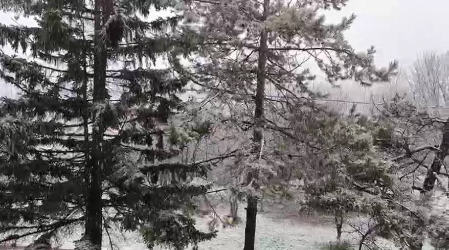 Снег накрыл Приморье Снег накрыл Приморье