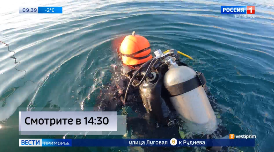 "Два часа в море ради 15 секунд эфира" - о тяжелой работе подводного фотографа