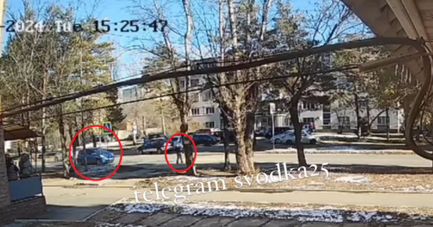 "Летели метров 15": момент наезда на двух детей в Приморье попал на видео