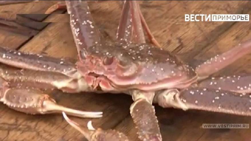 В Приморье осуждены два местных жителя за незаконный вылов крупной партии краба В Приморье осуждены два местных жителя за незаконный вылов крупной партии краба