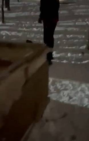 «Зверская» выходка мужчины с ломиком вызвала гнев приморцев «Зверская» выходка мужчины с ломиком вызвала гнев приморцев
