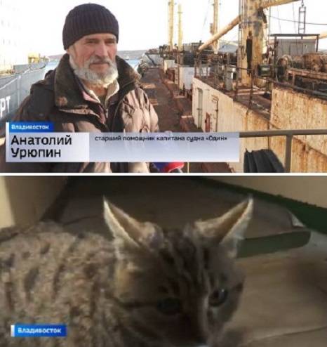 Заманчивое предложение сделала жительница Владивостока старпому замерзающего судна «Один» Заманчивое предложение сделала жительница Владивостока старпому замерзающего судна «Один»