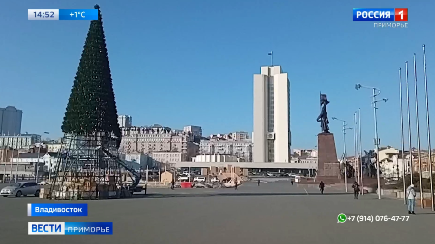 Первые новогодние елки начали устанавливать в городах Приморья