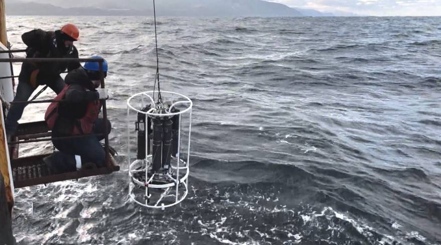 След "Фукусимы": ученые Приморья пришли к пародоксальным  выводам об радиации в океане