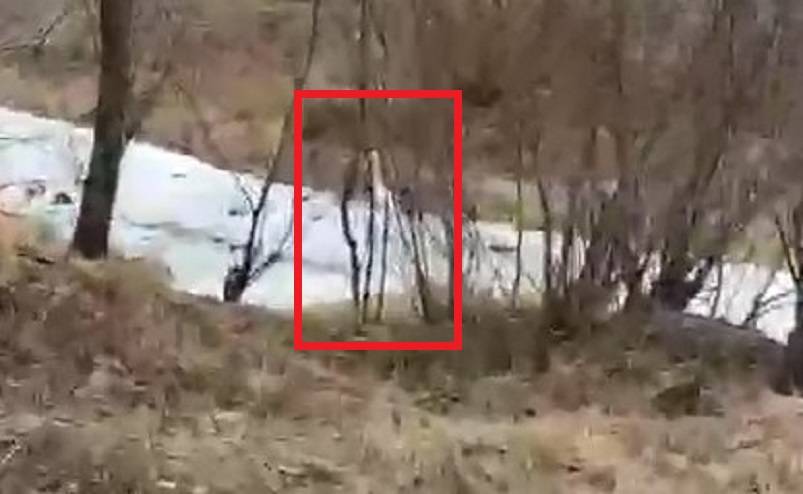 «Во всем виновата природа»: неожиданное явление снял на видео приморец