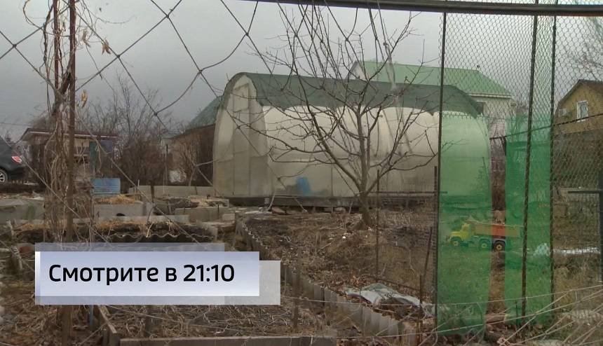 Погубит ли посадки дачников аномально теплая и бесснежная зима?