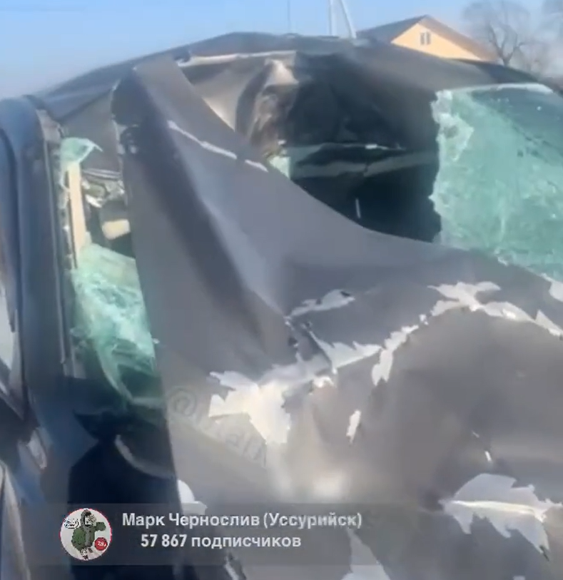 "Как я жива вообще осталась?": Табун лошадей пробежал по автомобилю жительницы Приморья