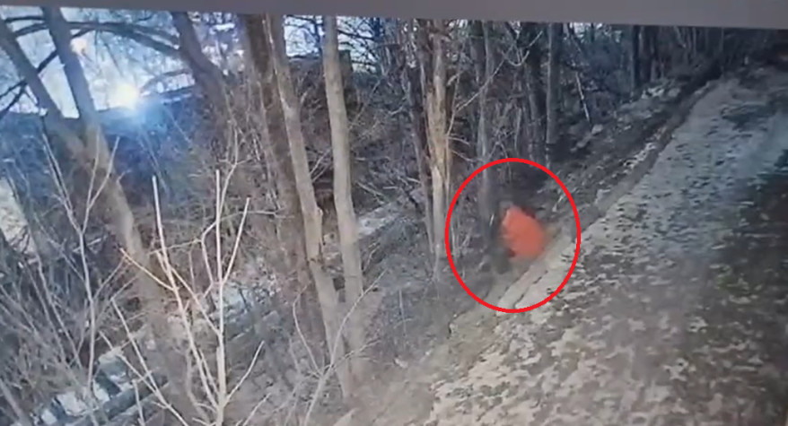 "Совсем совести нет": "черное дело" женщины в красном попало на видео в Приморье "Совсем совести нет": "черное дело" женщины в красном попало на видео в Приморье