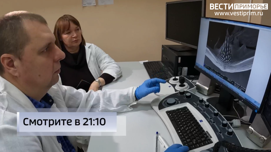 Панцирь планктона помог провести реконструкцию географии древнего Приморья