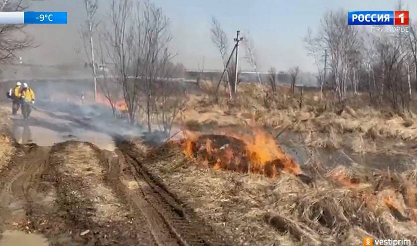 Наиболее неблагоприятная пожарная обстановка – в центральном и южном Приморье