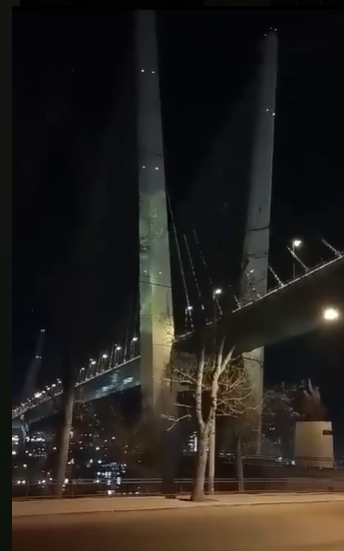 Тигр замечен на Золотом мосту во Владивостоке