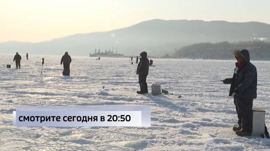 Жители Владивостока станут свидетелями чемпионата «Ловли на блесну со льда» Жители Владивостока станут свидетелями чемпионата «Ловли на блесну со льда»