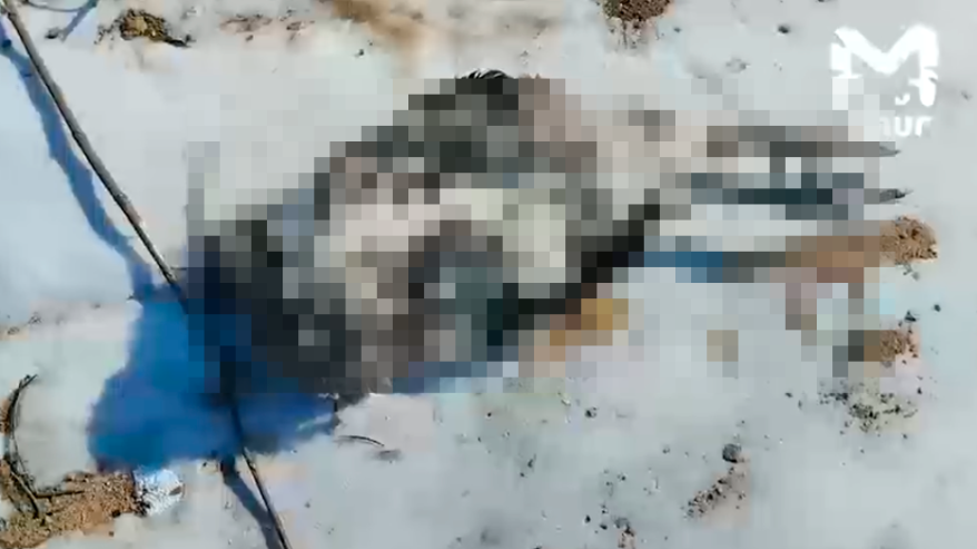 Свалку с трупами нашли в новом центре Находки