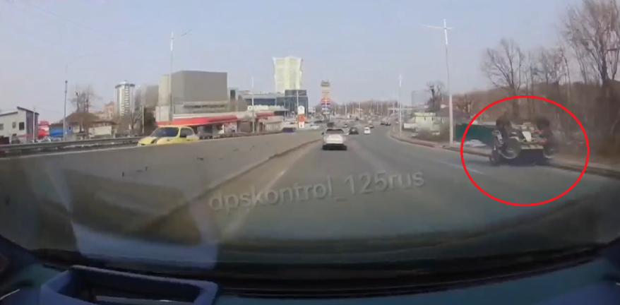 Шокирующий кульбит: животное спровоцировало жуткое ДТП во Владивостоке