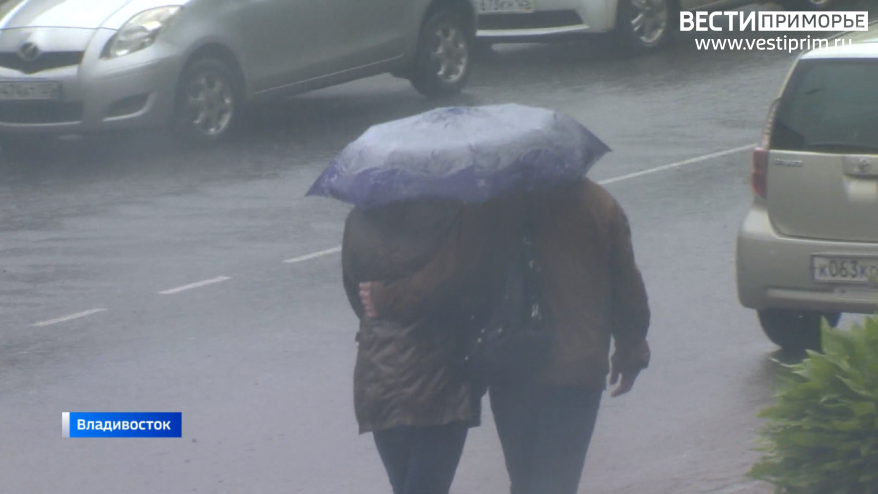 Дождь с мокрым снегом: циклон принесет осадки и резкое похолодание в Приморье