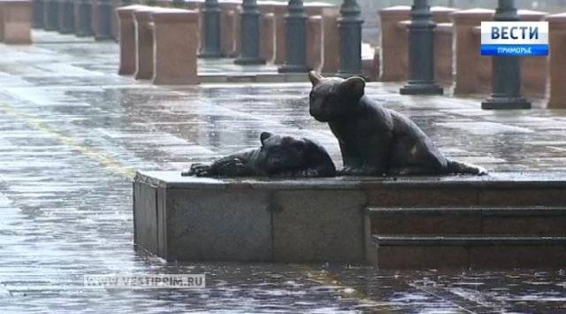 Во Владивостоке ждут усиления дождя