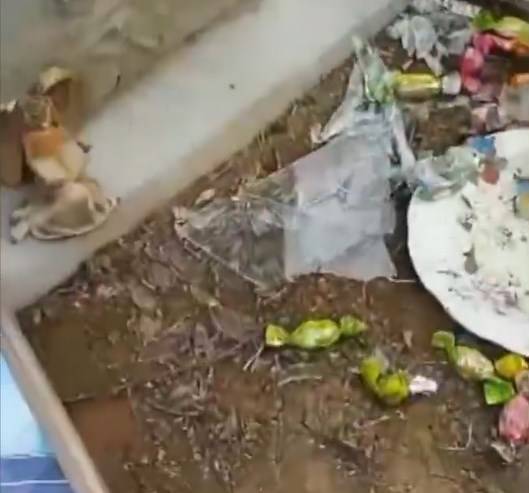 Захоронения участников СВО осквернены в Приморье