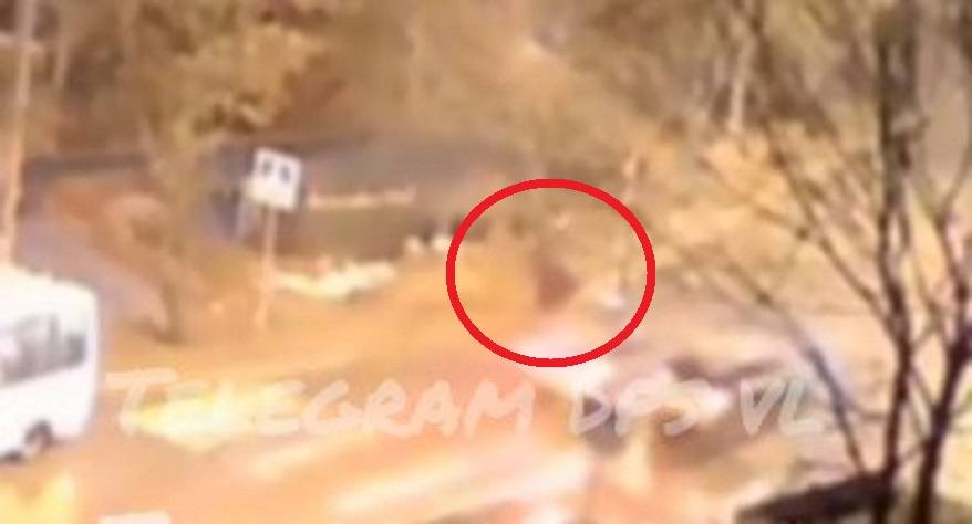 Взлетела и рухнула на дорогу: девушку сбили на «зебре» во Владивостоке