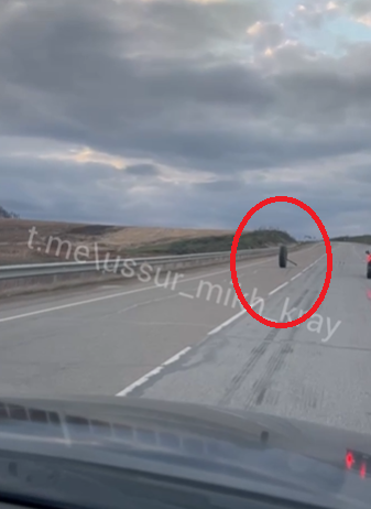 "Вот это нежданчик": случай на дороге озадачил автолюбителей в Приморье
