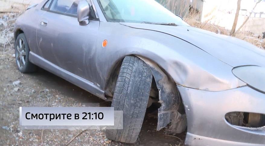 Стаи собак атакуют припаркованные авто на улицах Владивостока