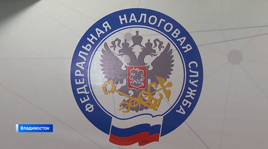 В 2024 году организации Приморья получили рассрочку по уплате налогов почти на 700 млн. рублей