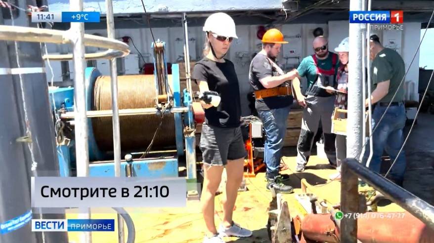 Завидный аппетит показывают бактерии-нефтееды в Приморье