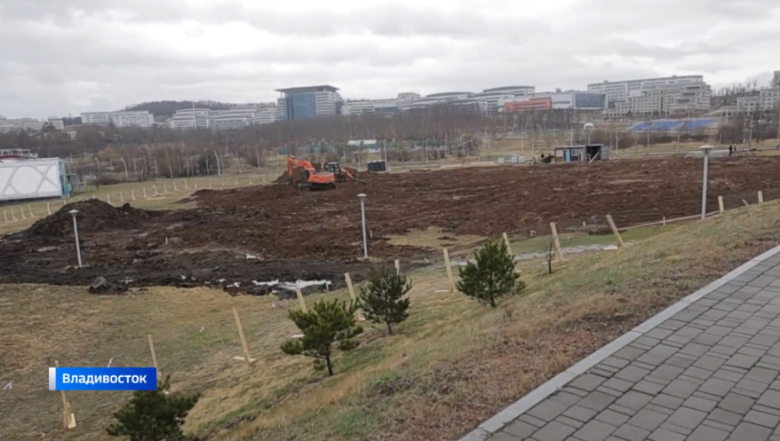 Большой экстрим-парк на Русском острове будет принимать соревнования международного уровня Большой экстрим-парк на Русском острове будет принимать соревнования международного уровня