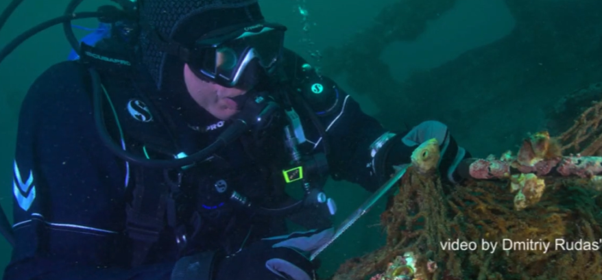 Известный приморский дайвер спас морского обитателя