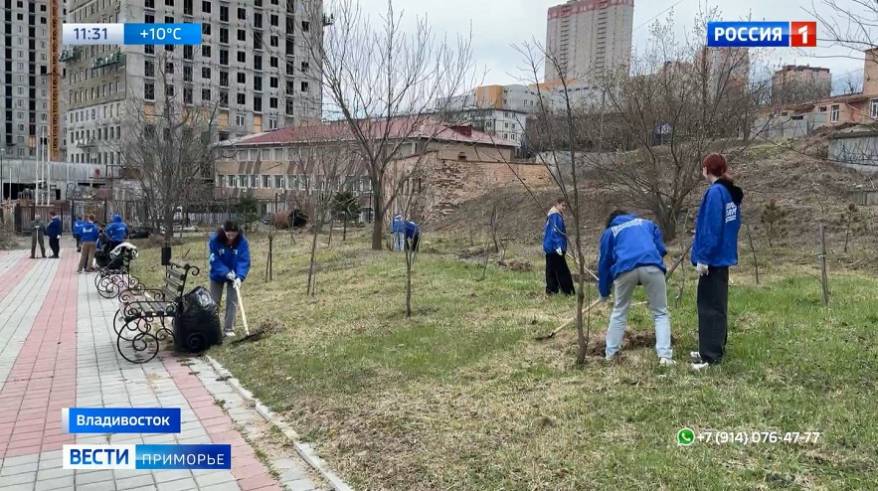 Приморцы приняли участие во Всероссийском субботнике
