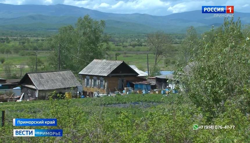 «Тигр ходит»: не выходить из дома просят жителей частного сектора поселка в Приморье