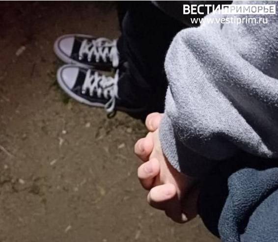 «От Вечного огня»: за проступок детишек в Артеме ответят родители