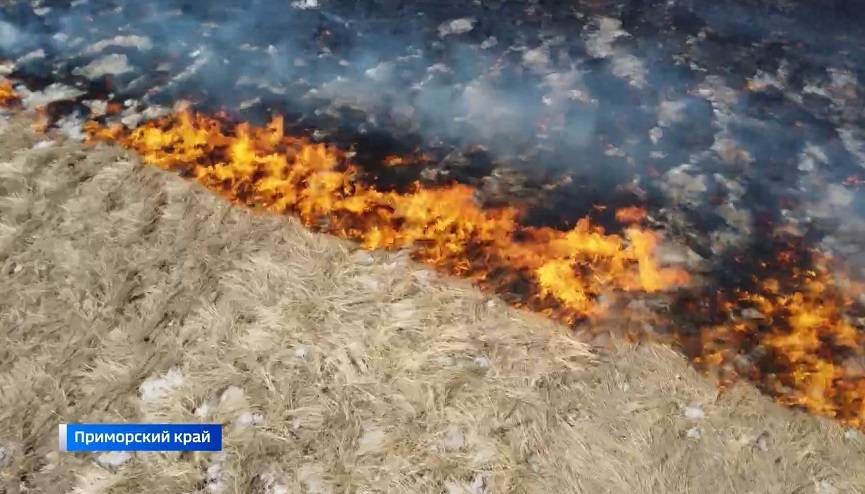 Высокий класс пожарной опасности ожидается в Приморье