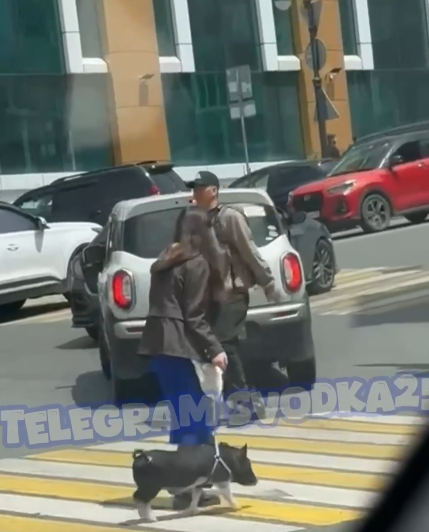 Необычного питомца выгуливала девушка в центре Владивостока