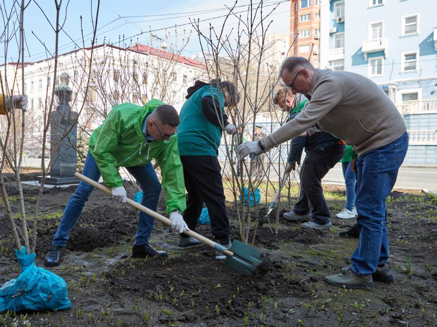 Сотрудники Сбербанка во Владивостоке высадили деревья у памятника Герою Советского Союза Сотрудники Сбербанка во Владивостоке высадили деревья у памятника Герою Советского Союза