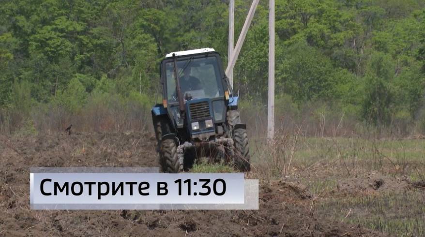 Приморские подростки выворачивают наизнанку поля под посадку